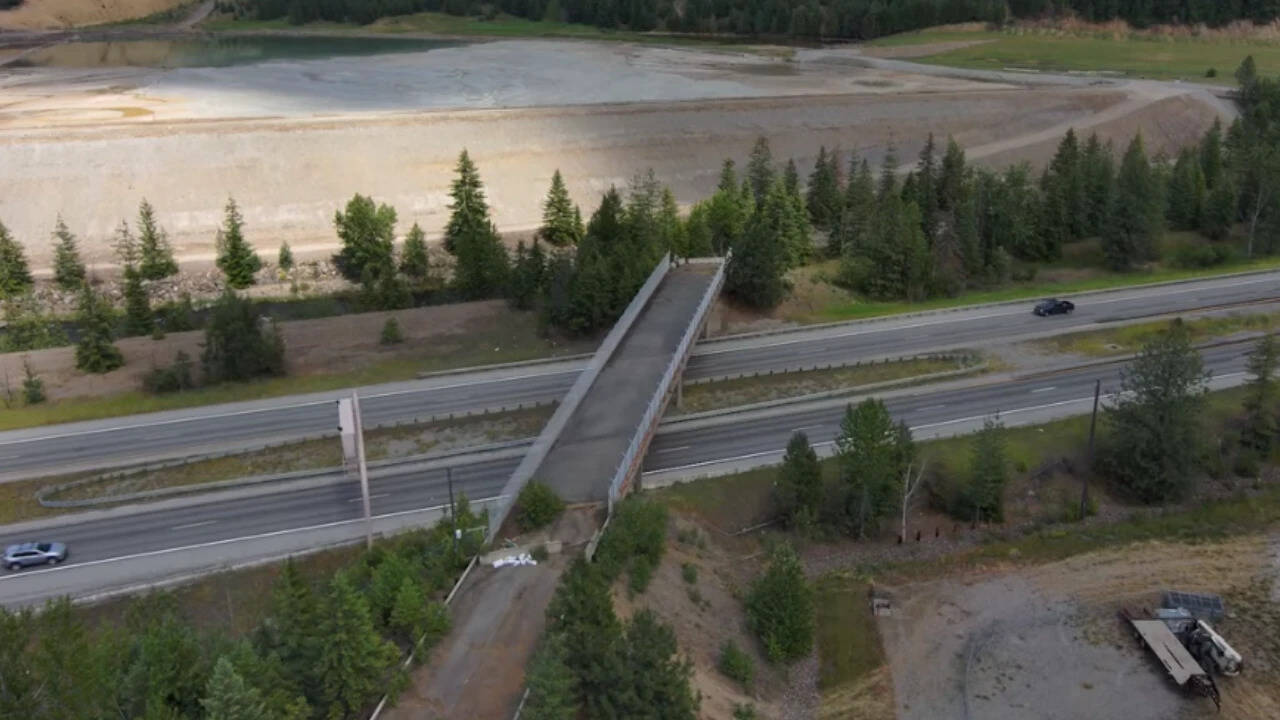 Disused Idaho bridge transformed into wildlife crossing to prevent animal deaths