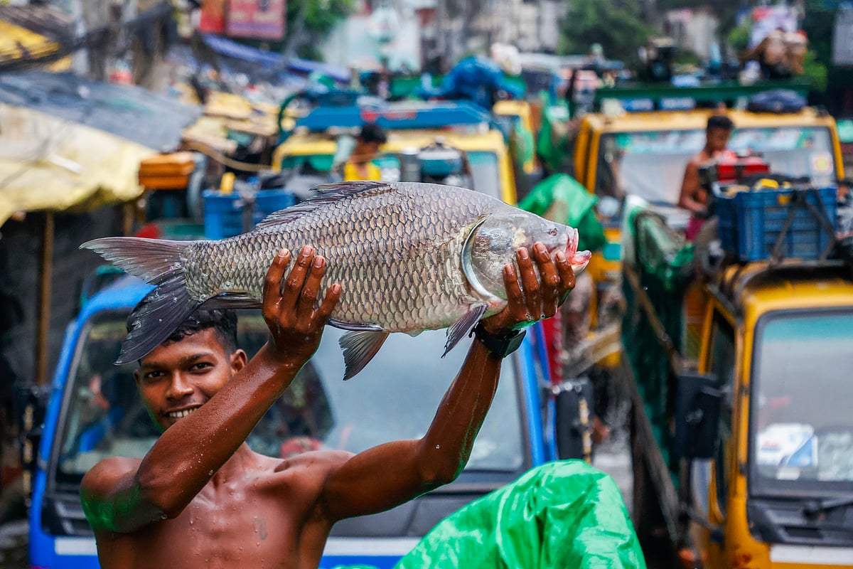 Bangladesh's Live Fish Markets Adapt to Modern Consumer Demands