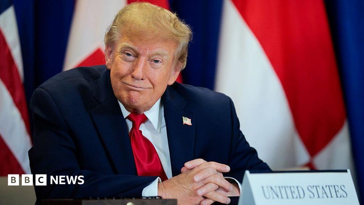 Trump's 'Super Intelligence' push sparks rush for Slovenian domain names