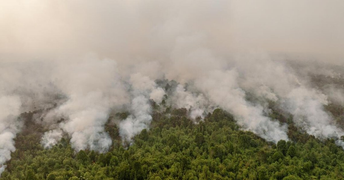 Indonesia deploys massive force to battle persistent forest fires