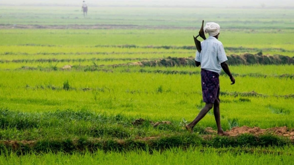 University in Bihar demonstrates integrated farming model offering six income streams