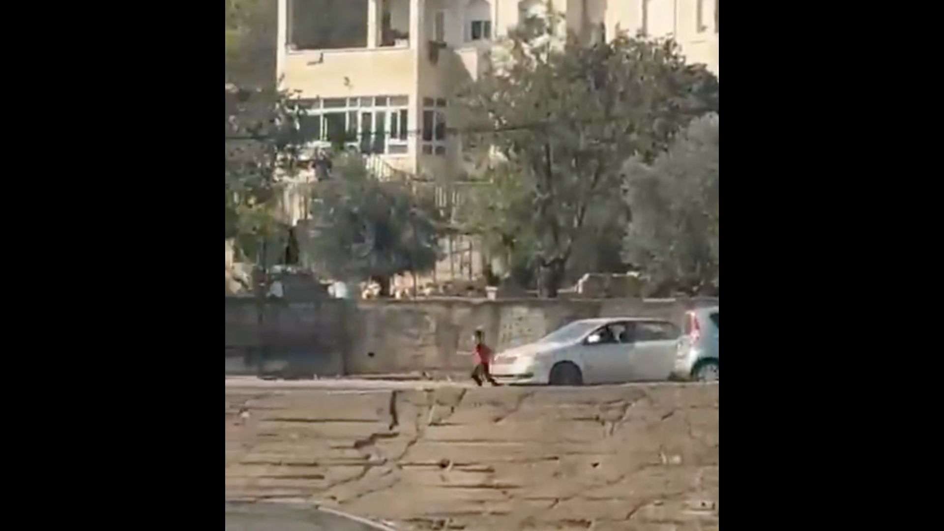 Palestinian boy flees as settlers attack family, seize vehicle in Ramallah