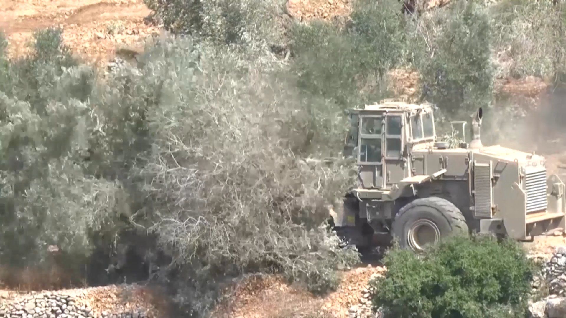 Israeli settlers target Palestinian olive harvest in West Bank