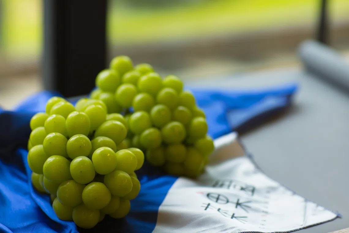 Japanese man arrested for stealing and selling $11,000 worth of grapes