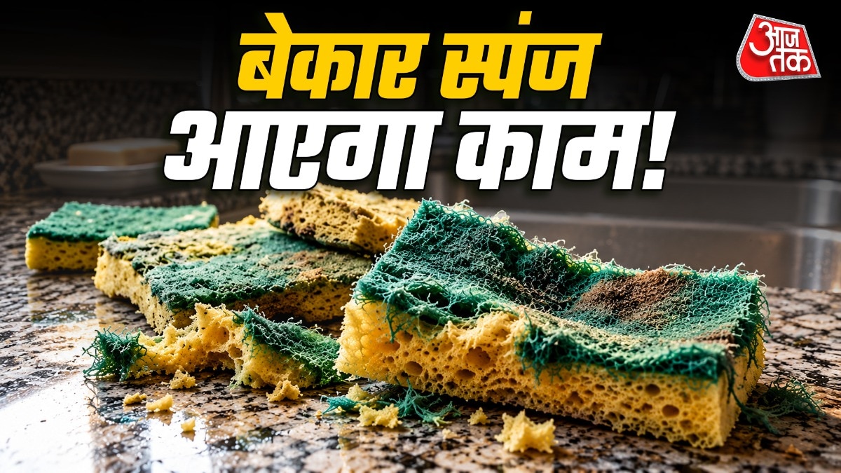 Old Kitchen Sponges Get New Life: Five Practical Household Uses