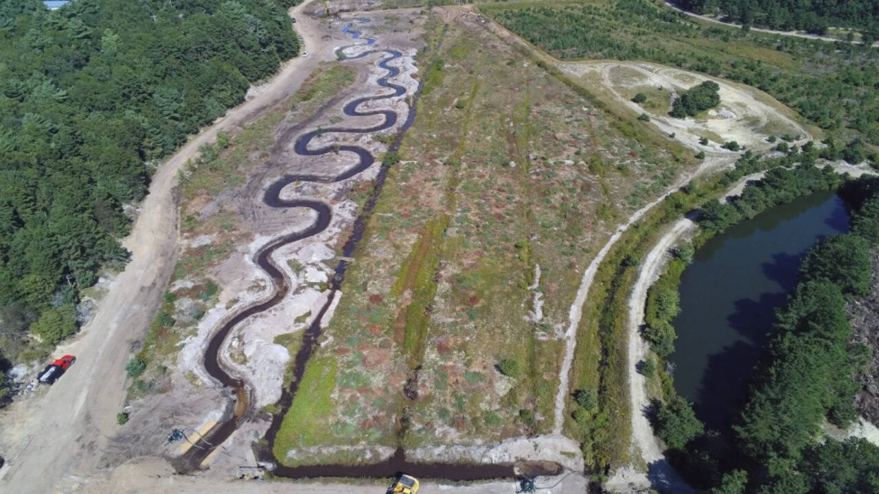 Massachusetts restores cranberry bog to protect endangered migratory trout