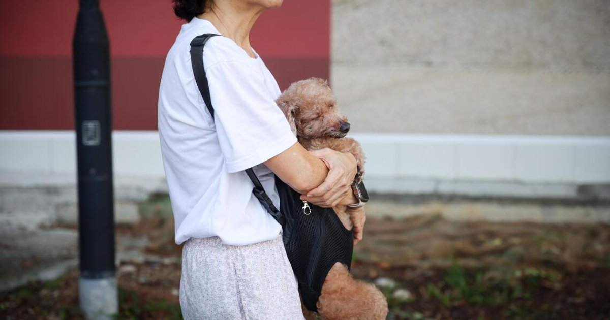 One in three middle-aged Singapore women battling anxiety, survey finds