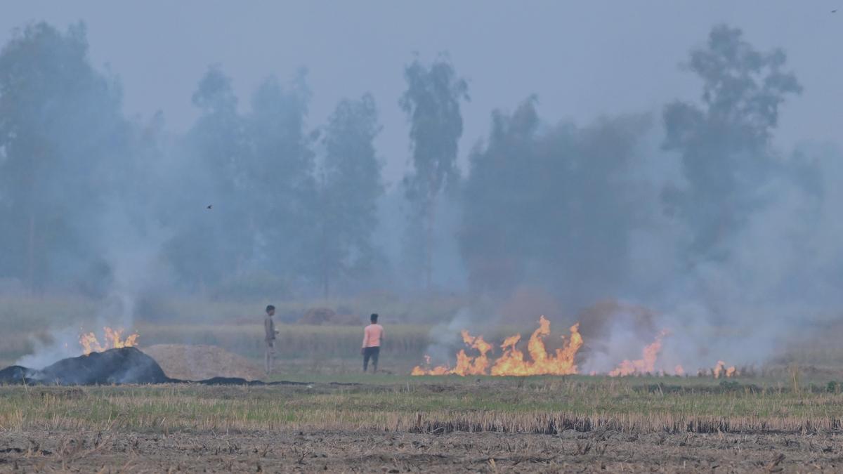 CAQM seeks better farm fire measurement protocols with Punjab, Haryana