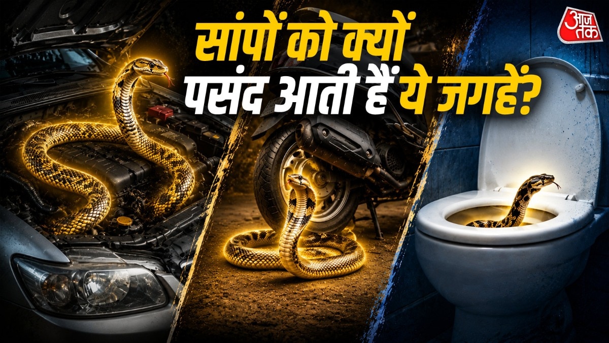 Why snakes seek shelter in vehicles and homes during monsoon season