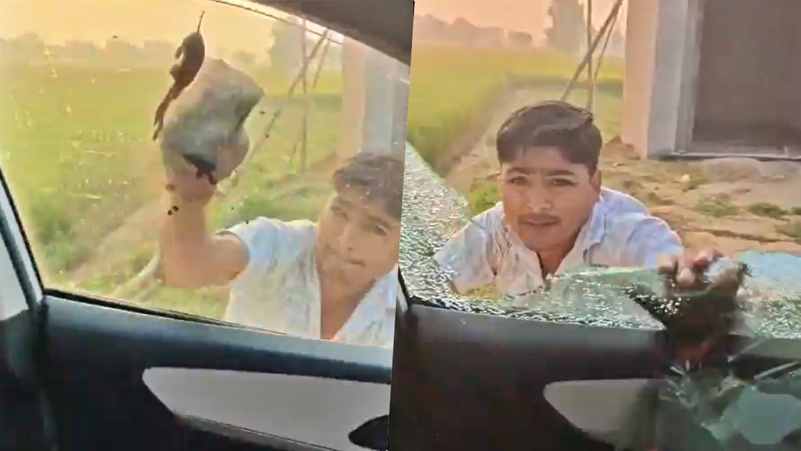रायबरेली में अपराधियों का आतंक: मां-बेटी पर ईंट-पत्थरों से हमला