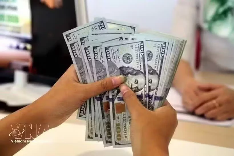 Vietnam's dong weakens further as central bank lowers reference rate