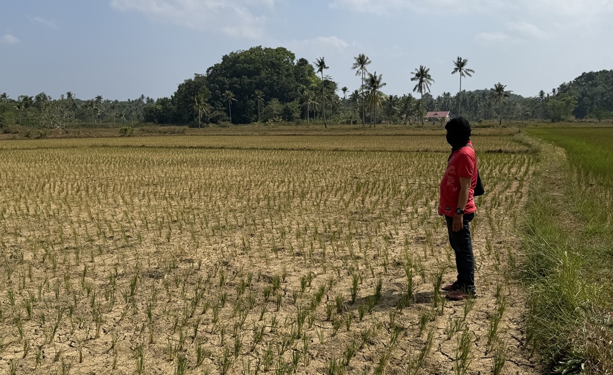 Lacson urges Senate to redirect budget cuts toward El Niño readiness