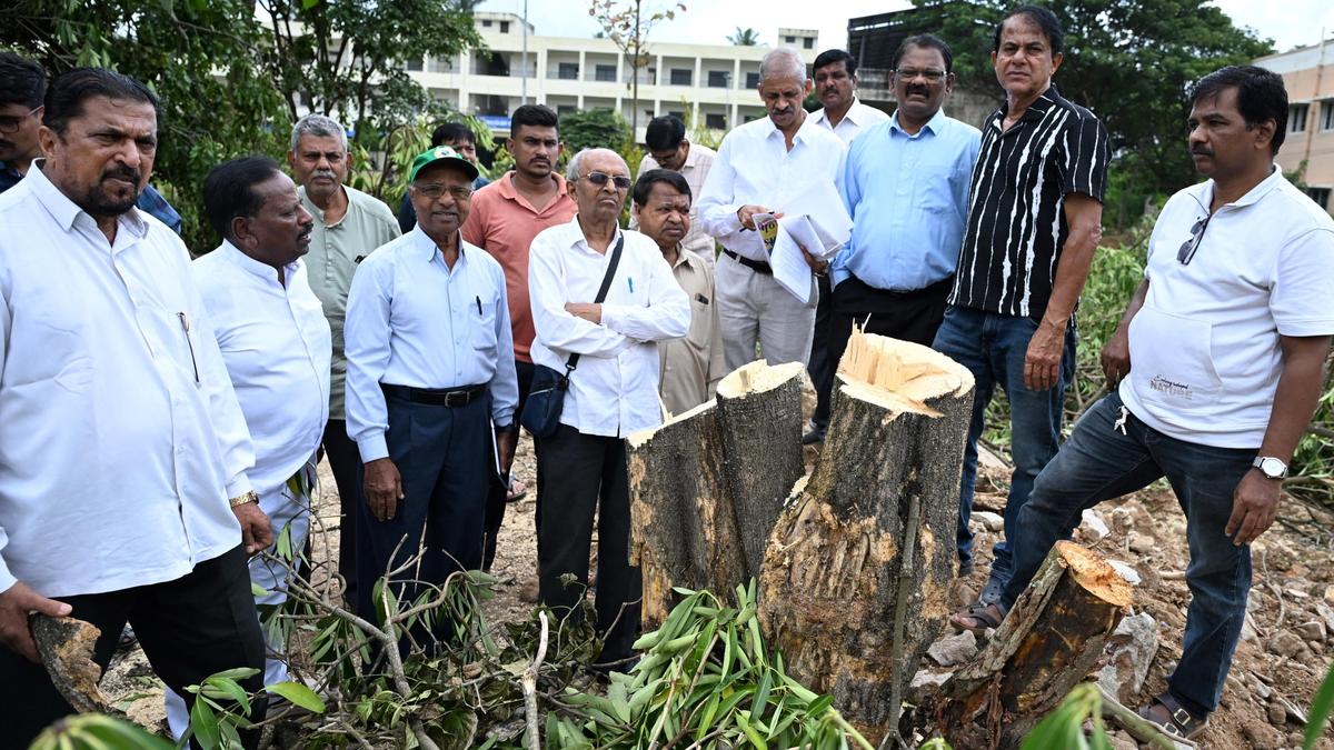 Tree felling at Shivamogga science campus sparks public outcry