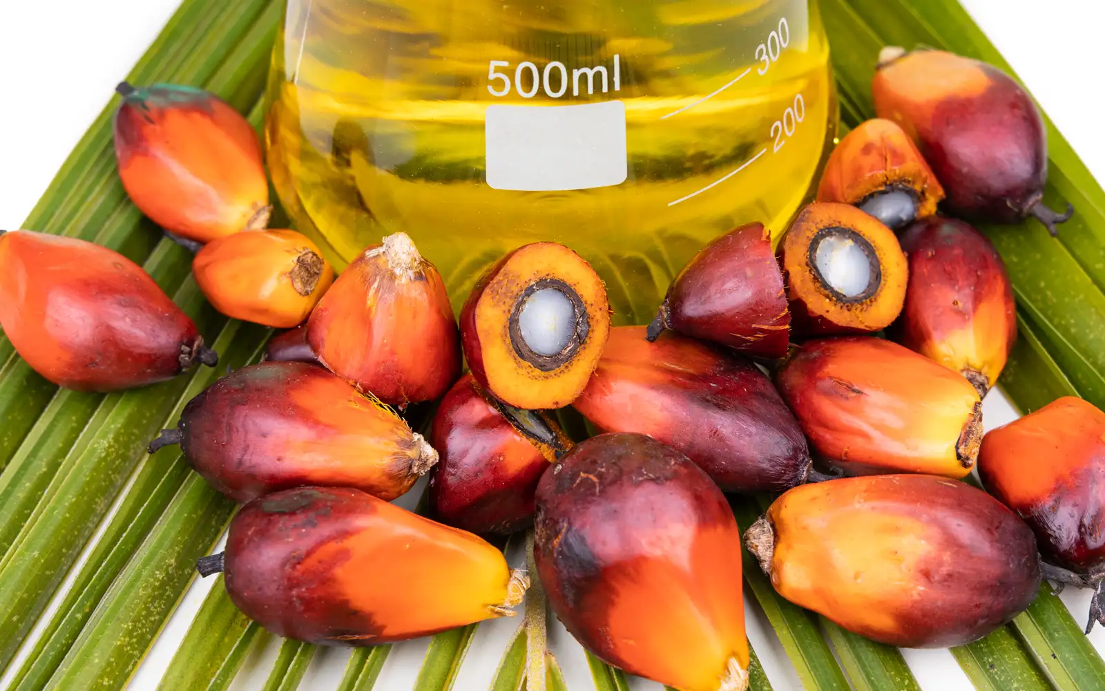 Kelimpahan minyak sawit menarik pembeli India ketika jurang harga melebar