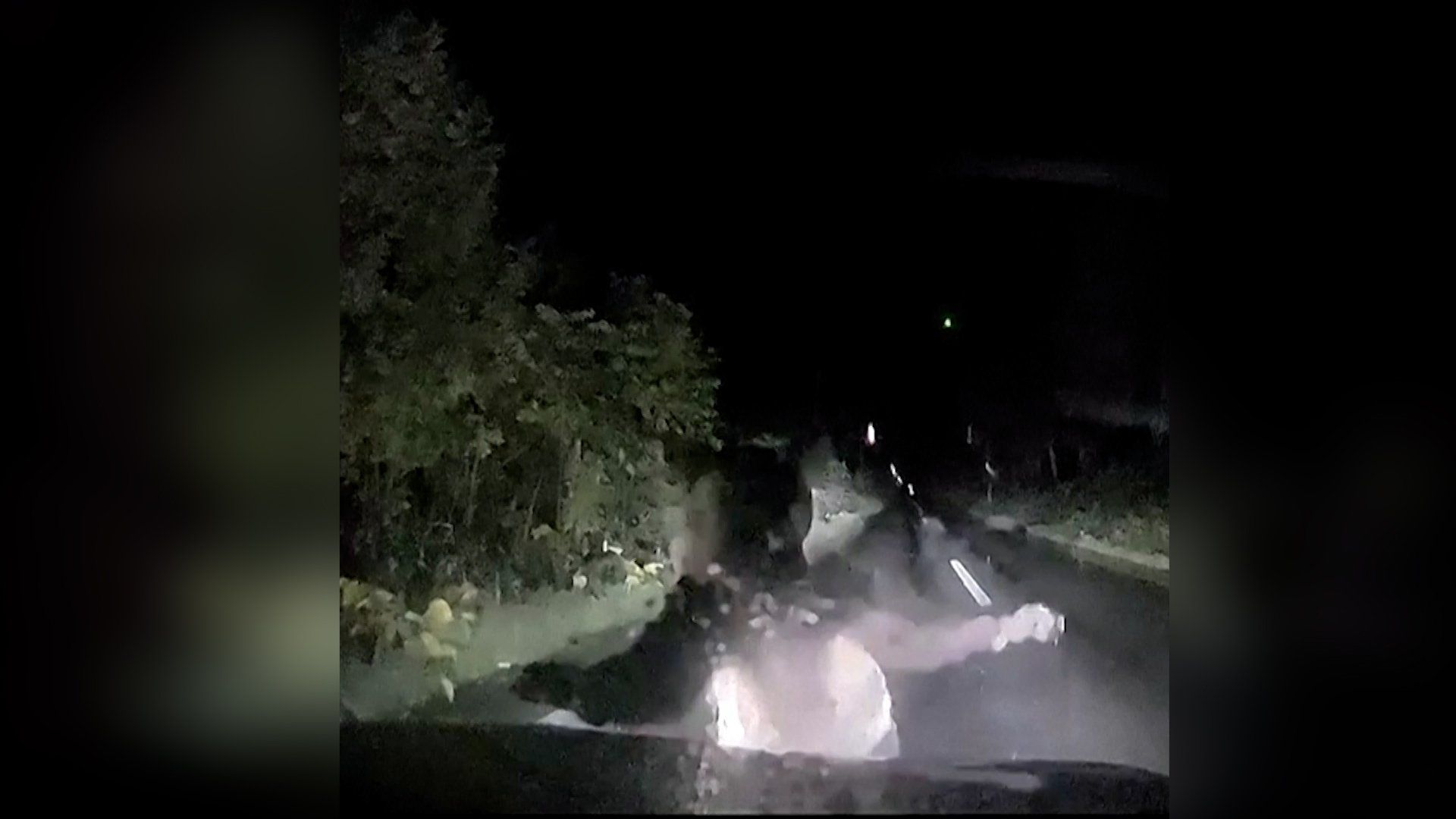 Mother bear charges vehicle to shield cub in Japan encounter
