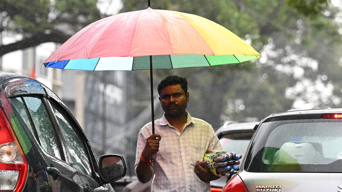 कर्नाटक में मानसून की बारिश में भारी कमी, केवल दो जिलों में सामान्य वर्षा