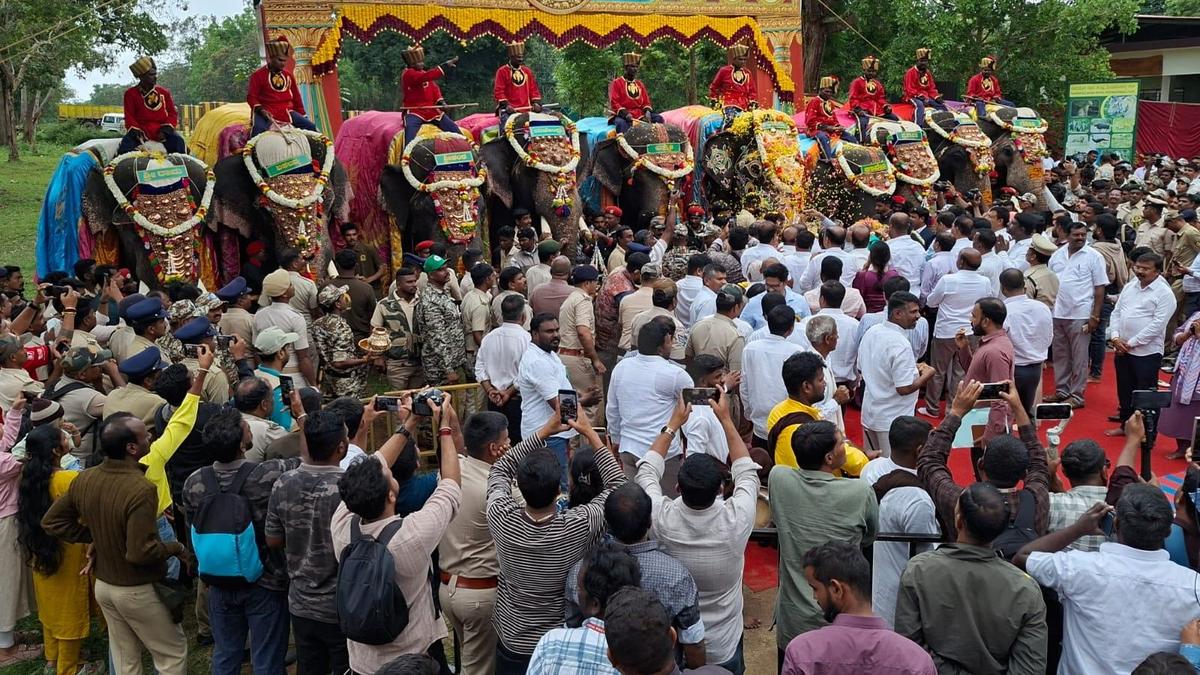 Mysuru Dasara elephants begin ceremonial journey from Karnataka