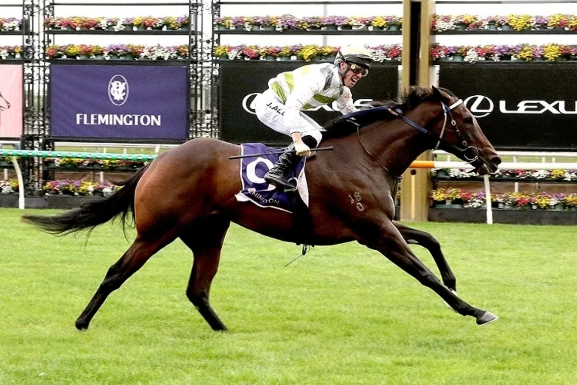 Skybird primed for G1 Moir Stakes debut