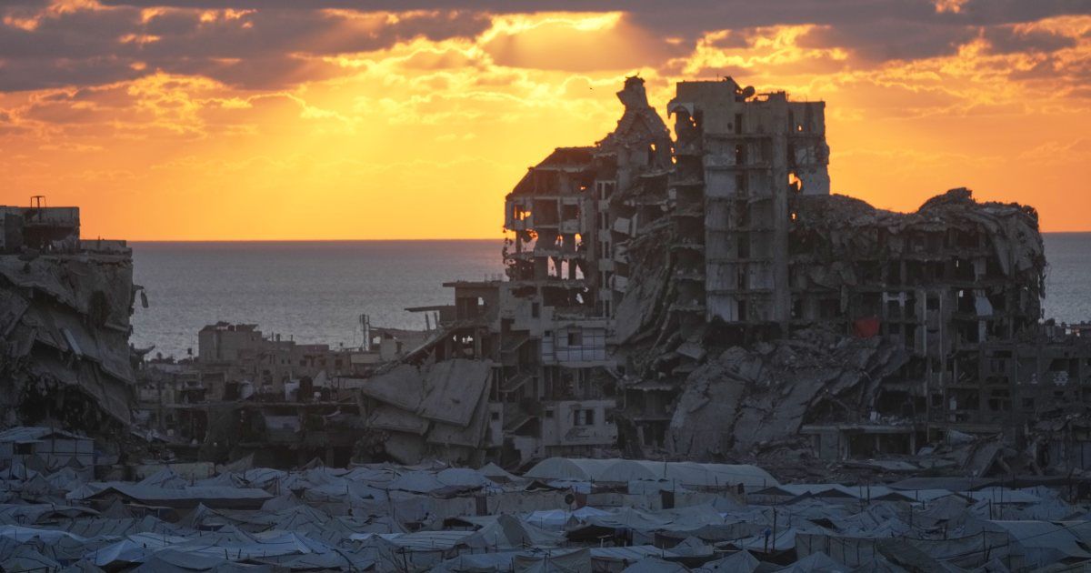 FAO Official Claims Dismissal Linked to Gaza Policy Criticism