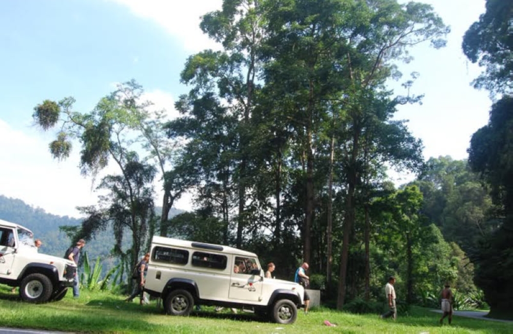 Iconic Cameron Highlands Land Rover Defenders to be revived as tourist vehicles