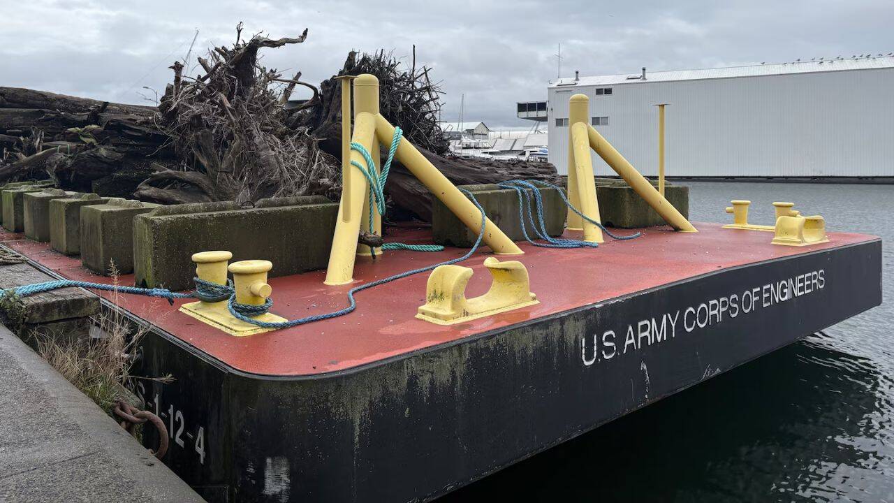 Seattle's innovative driftwood recycling program turns waste into wildlife habitats
