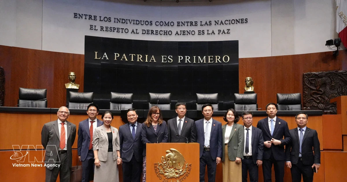 Vietnam, Mexico forge closer parliamentary ties through experience sharing