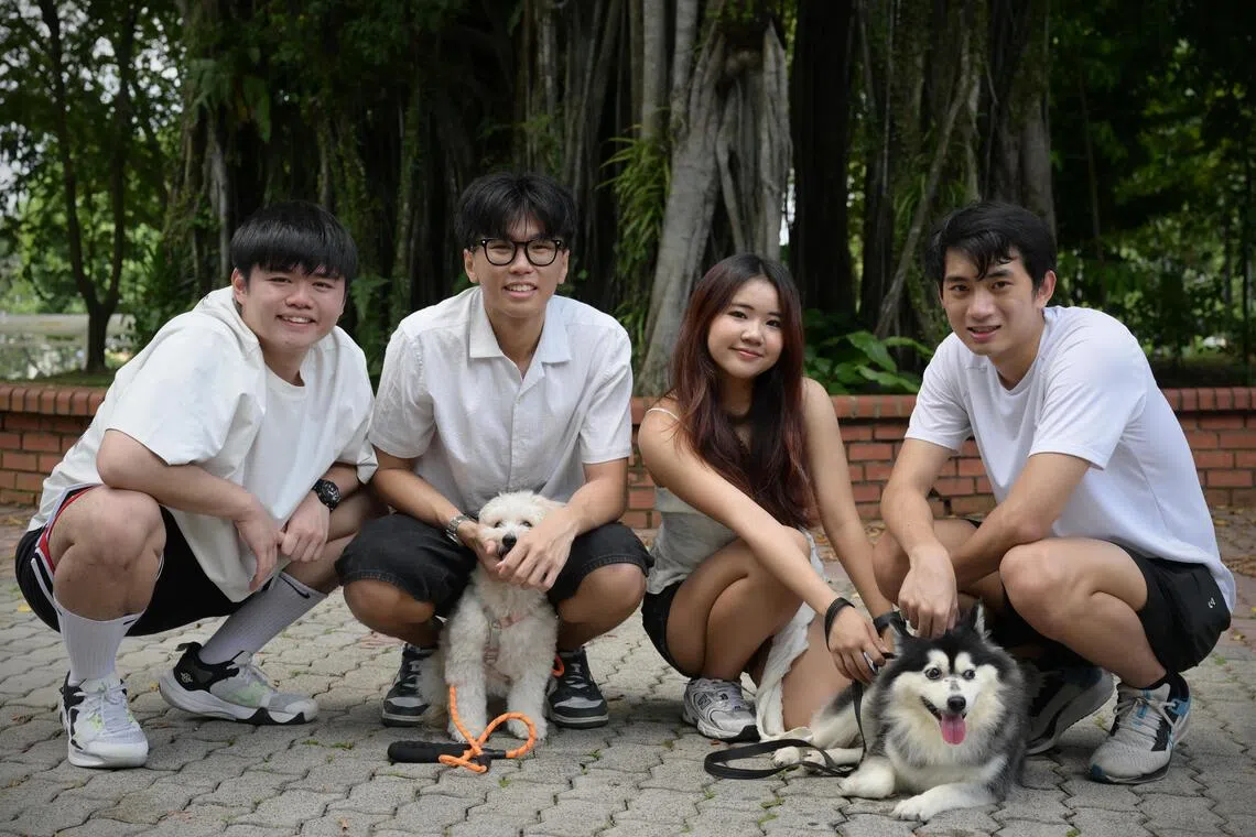 New app connects dog owners across Singapore for pet playdates