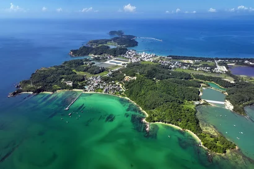 Co To Island Pursues Sustainable Agriculture Model for Economic Growth