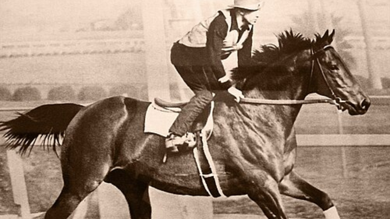 Historic California ranch preserves Seabiscuit legacy and wetland ecosystem