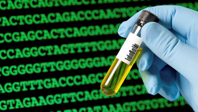 US moves to restrict Chinese genomics firms over forced labour concerns