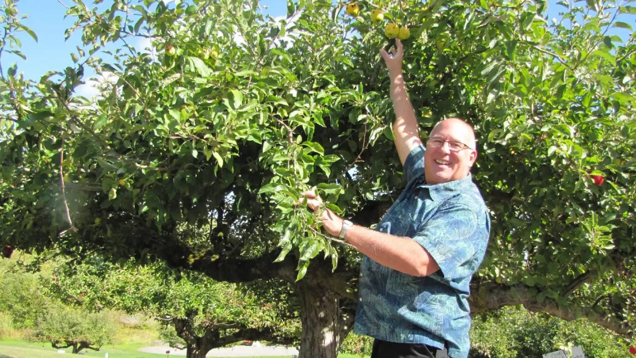 Retired FBI agent unearths 30 forgotten apple varieties in Pacific Northwest