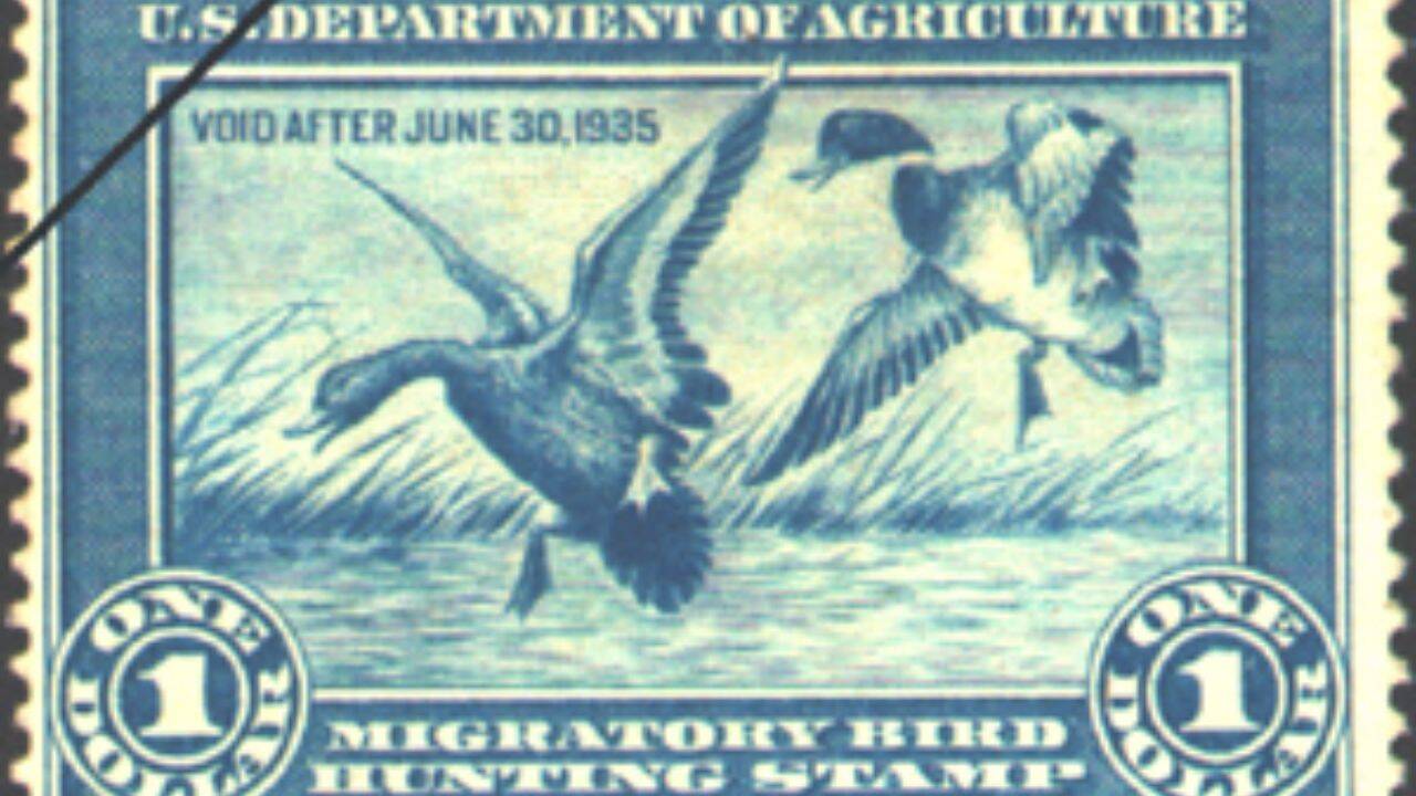 Humble Duck Stamp Becomes America's Conservation Champion