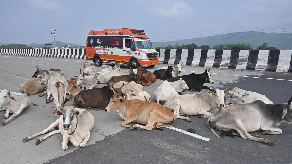 राष्ट्रीय राजमार्गों पर सीमा दीवार से पशु प्रवेश पर रोक