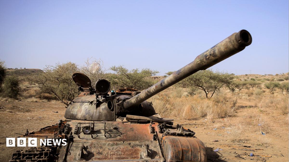 Seven Ethiopian rebel groups announce unified coalition
