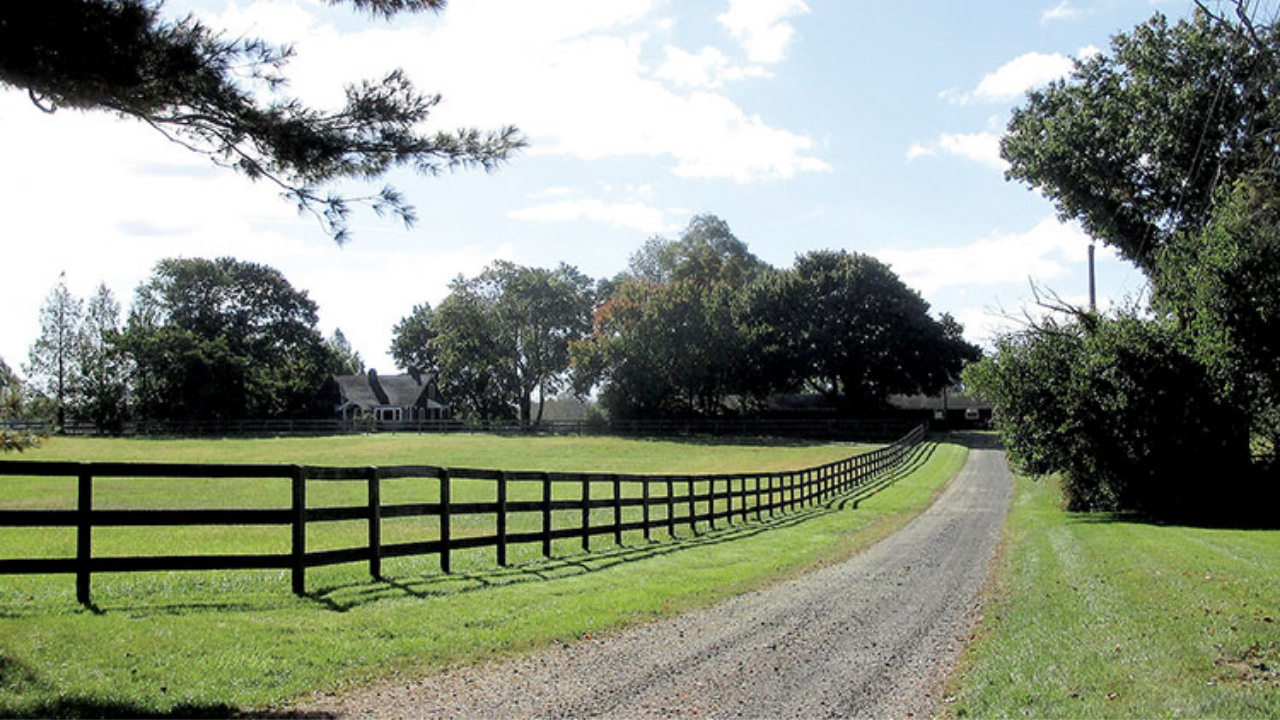 Jon Stewart transforms New Jersey farm into animal sanctuary