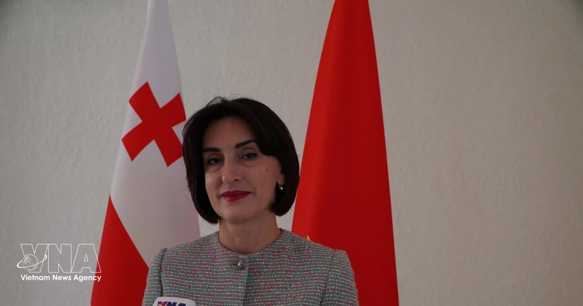 Vietnam Vice President's Georgia visit to strengthen bilateral cooperation