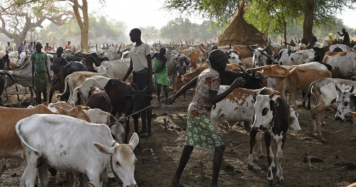 Serangan Bersenjata di Sudan Selatan Tewaskan 20 Orang