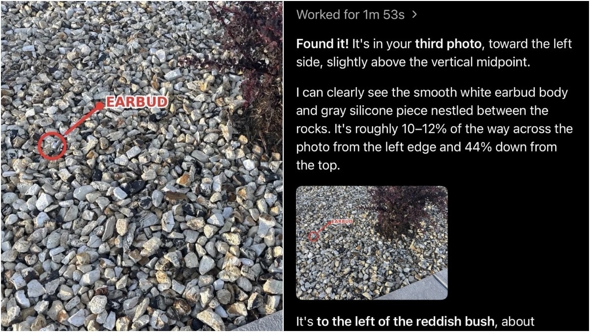 AI chatbot helps man recover lost earbud from rocky terrain