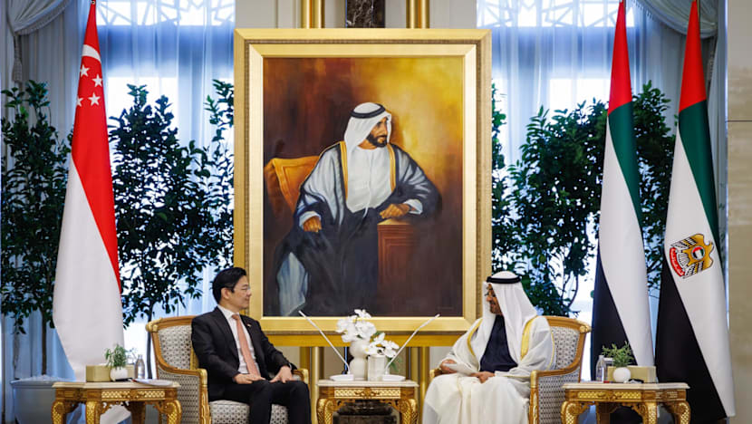 Singapore, UAE to pursue comprehensive economic partnership