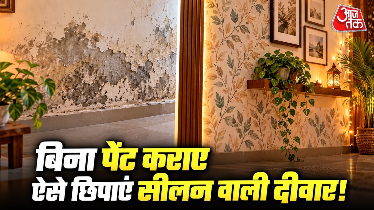 Diwali Décor: Budget-Friendly Ways to Mask Damp, Stained Walls
