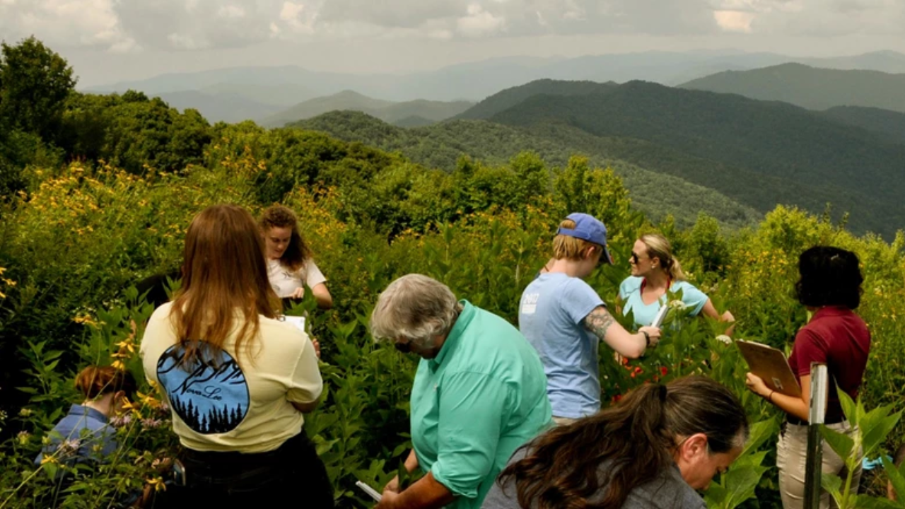 North Carolina Estate Becomes Environmental Research Hub After Decades