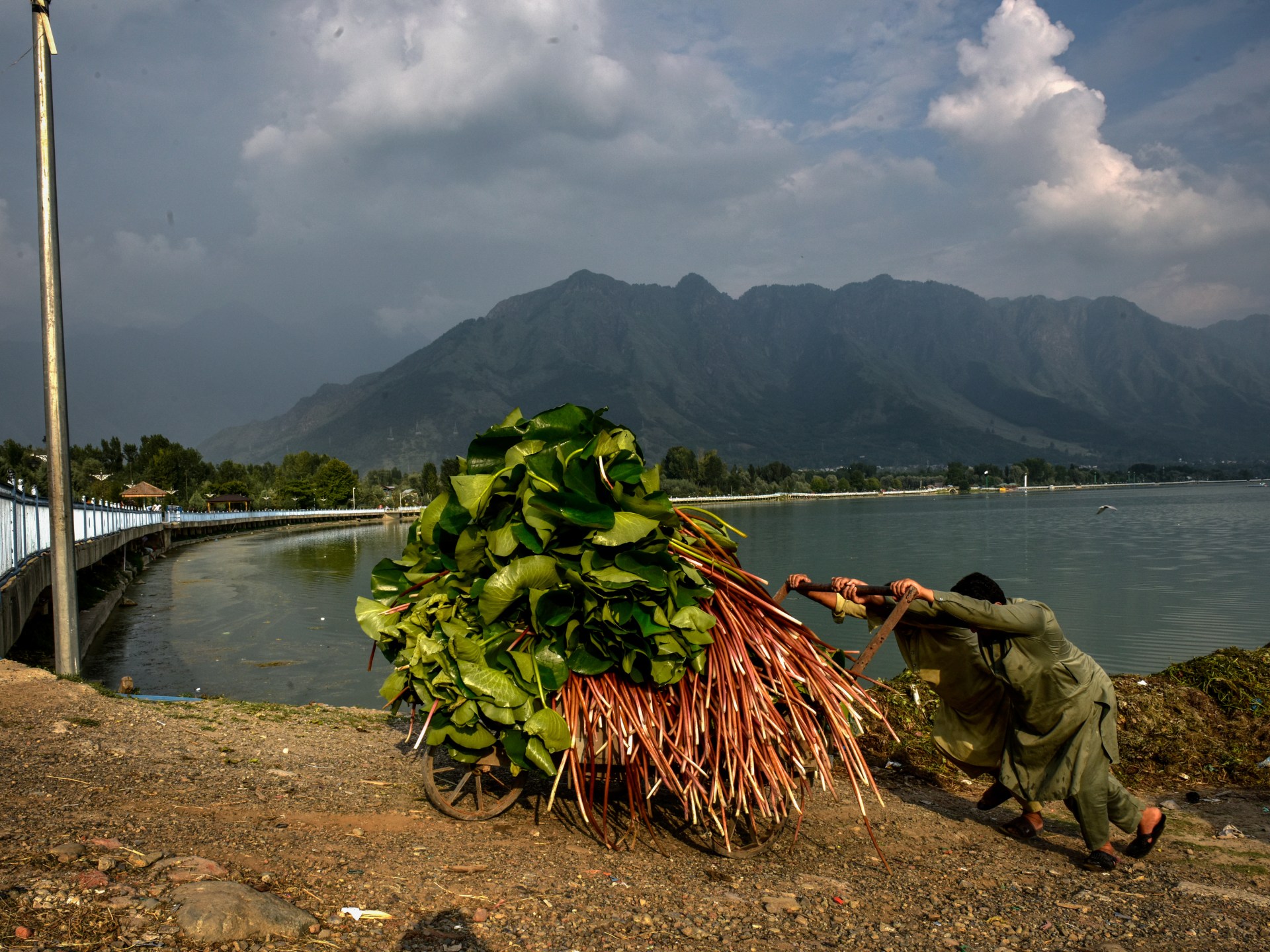 Kashmir's Dal Lake battles pollution, construction and climate crisis