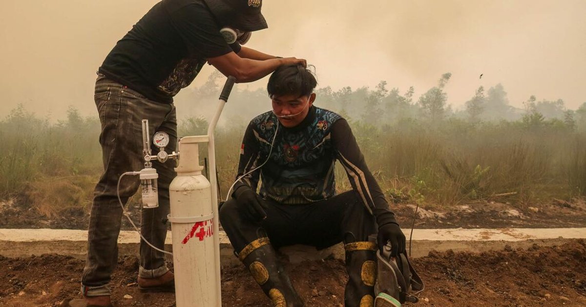 Beyond the smoke: haze contains dangerous gaseous pollutants