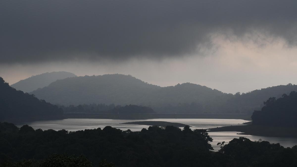 Video raises questions over forest access at Kerala reservoir