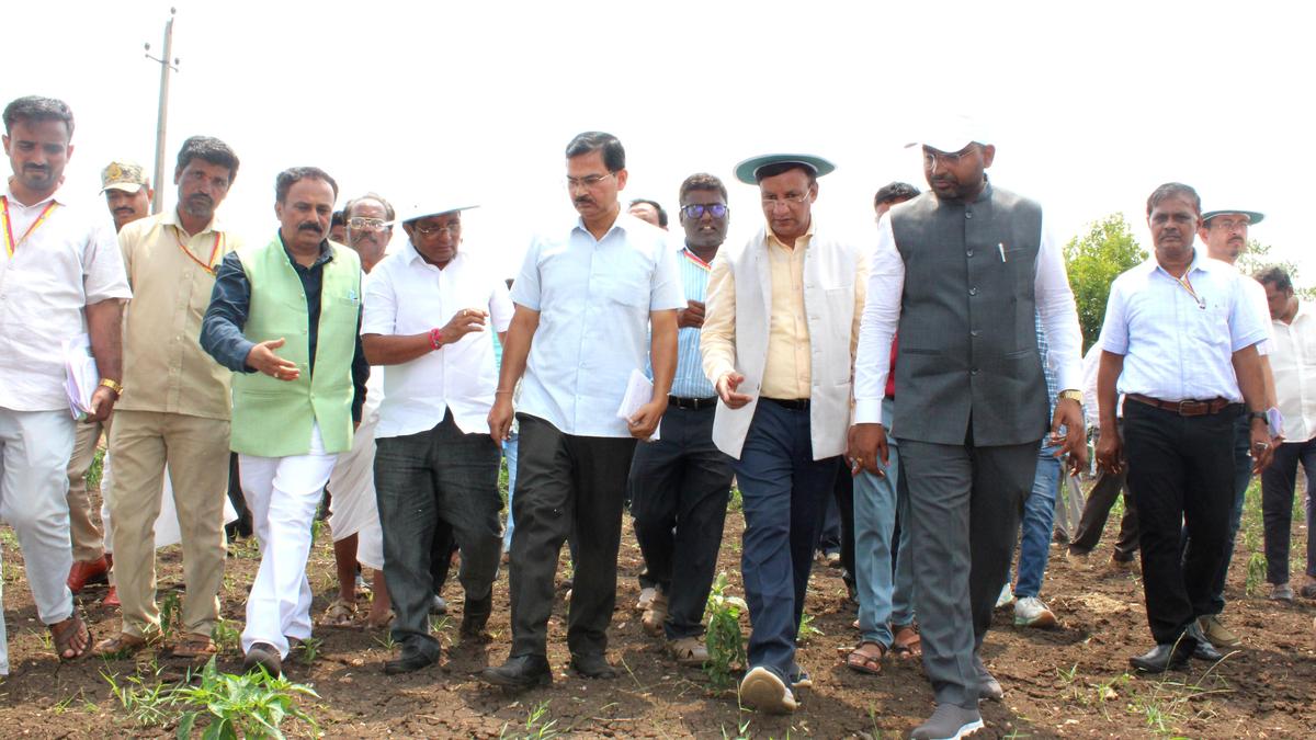 Central team conducts assessment visit to Karnataka's Bagalkot district