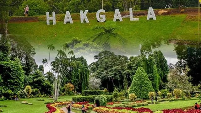 New conservation and tourism initiatives planned for Hakgala