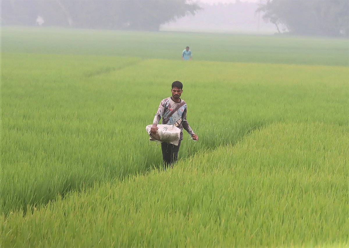 সপ্তাহের শীর্ষ সংবাদ: দক্ষিণ এশিয়ার গুরুত্বপূর্ণ ঘটনাবলী