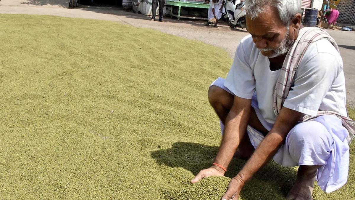 Centre approves MSP procurement of pulses, oilseeds in Karnataka