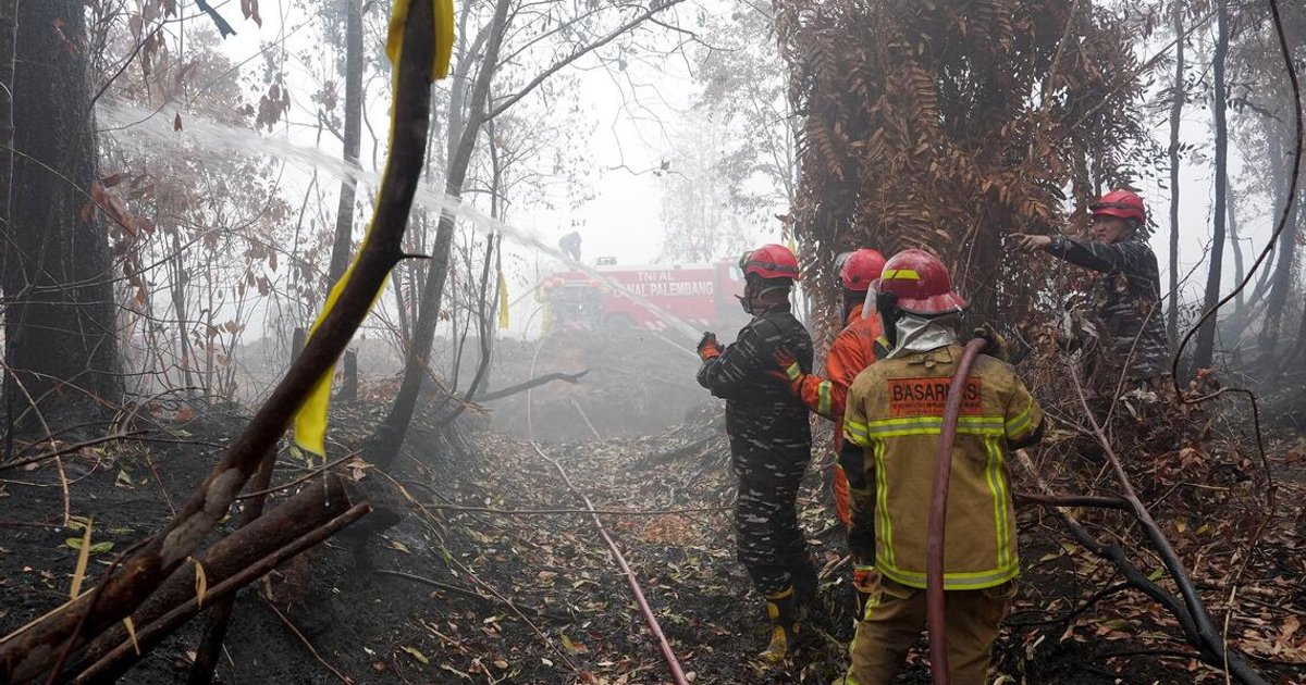 Indonesia deploys fire-suppressing gel to combat severe peat fire crisis