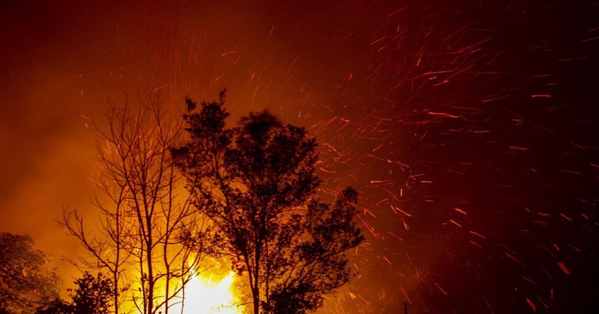 Kalimantan fire hotspots surge to 808 amid transboundary haze threat